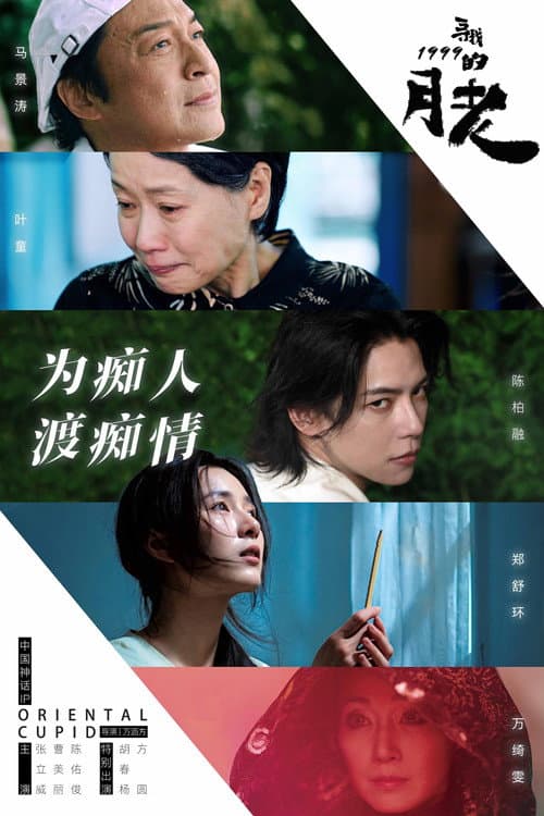 寻找1999的月老 afişi