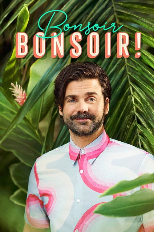 Bonsoir bonsoir! afişi