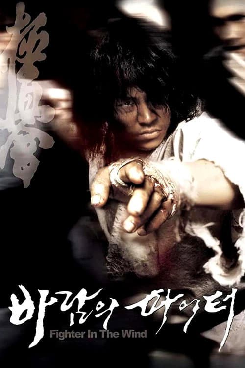 바람의 파이터 afişi
