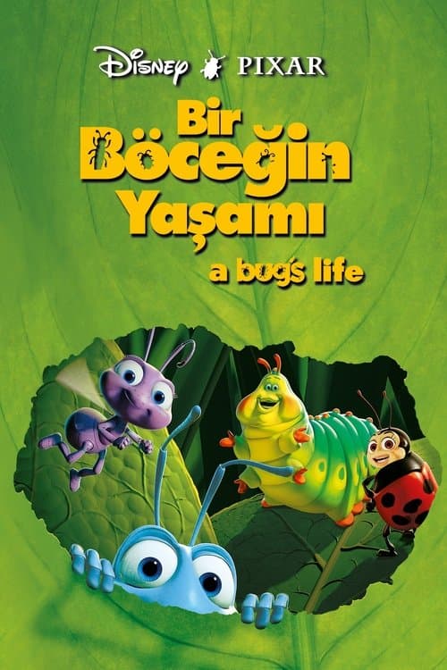 Bir Böceğin Yaşamı afişi
