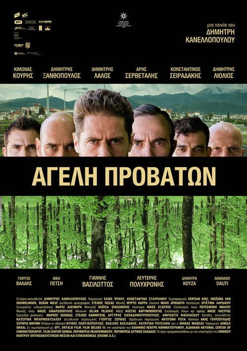 Αγέλη Προβάτων afişi