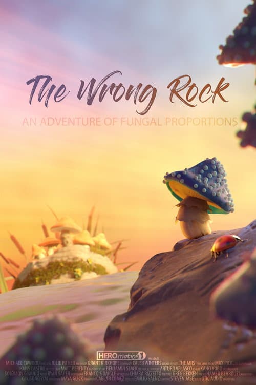 The Wrong Rock afişi