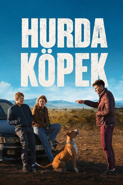 Hurda Köpek afişi