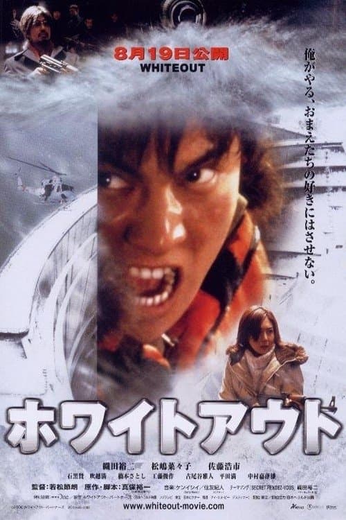 ホワイトアウト afişi