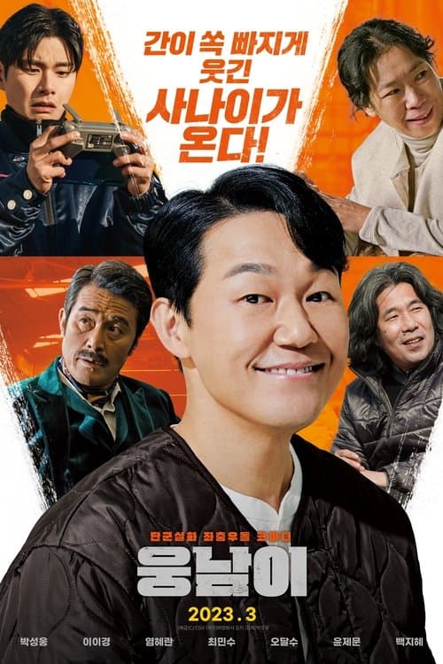 웅남이 afişi