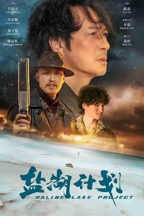 盐湖计划 afişi