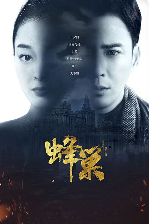 蜂巢 afişi