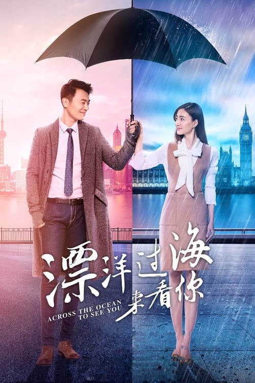 漂洋过海来看你 afişi