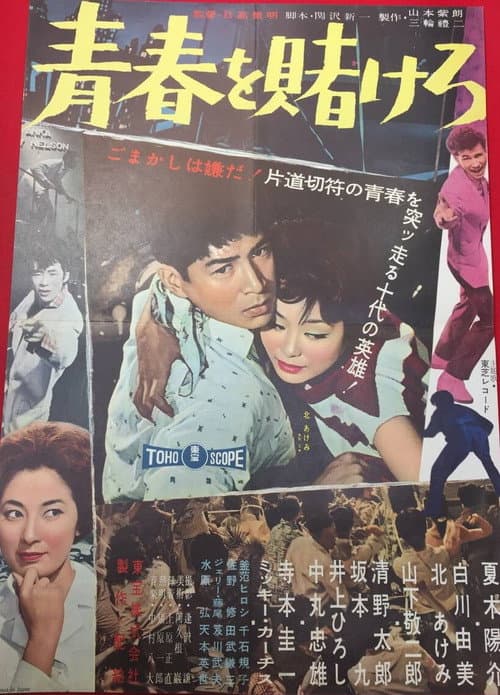 青春を賭けろ afişi