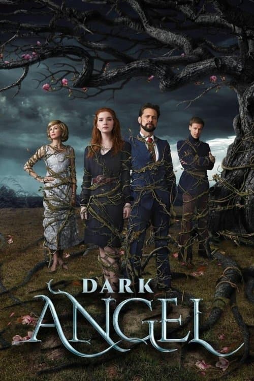 Dark Angel afişi