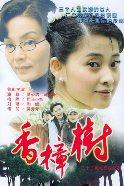 香樟树 afişi