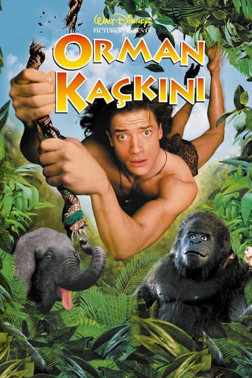 Orman Kaçkını afişi