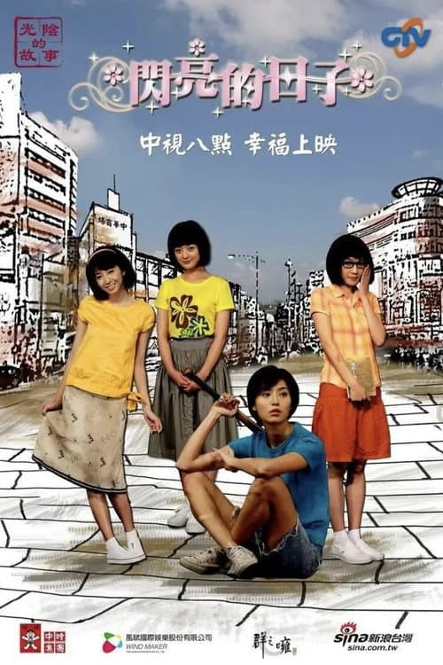 闪亮的日子 afişi