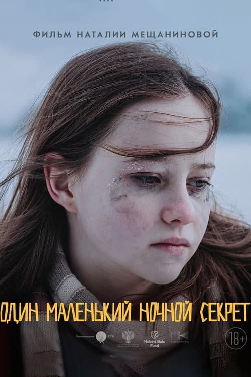 Один маленький ночной секрет afişi