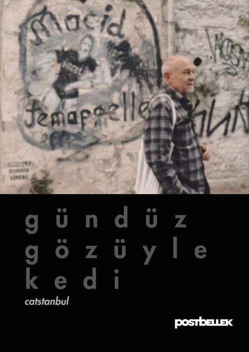 Gündüz Gözüyle Kedi afişi