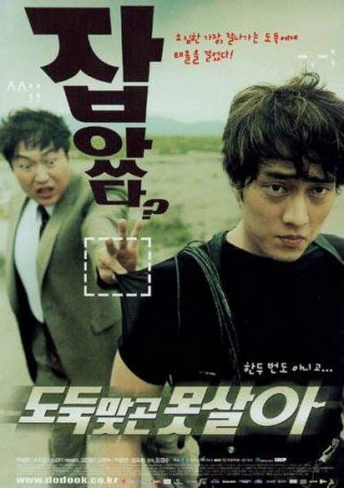 도둑맞곤 못살아 afişi