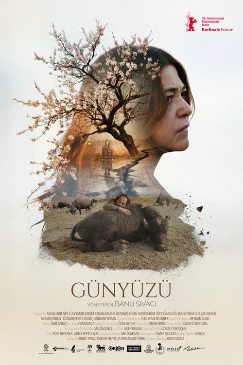 Günyüzü afişi