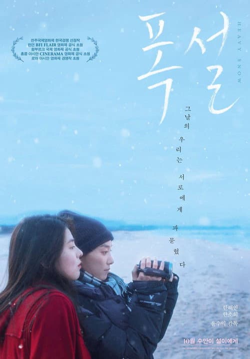 폭설 afişi