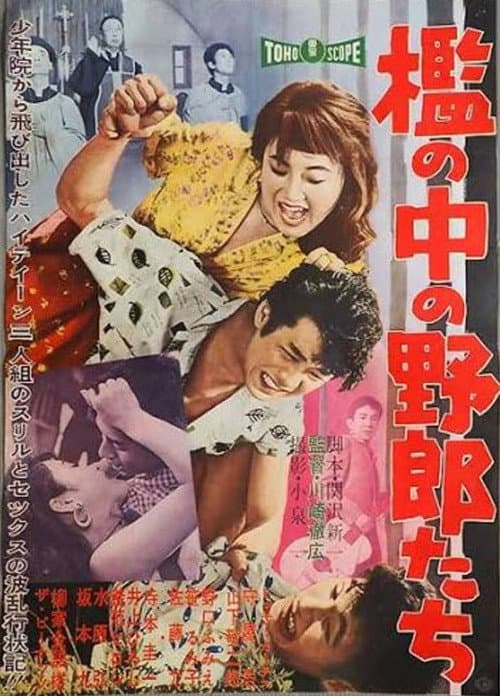 檻の中の野郎たち afişi