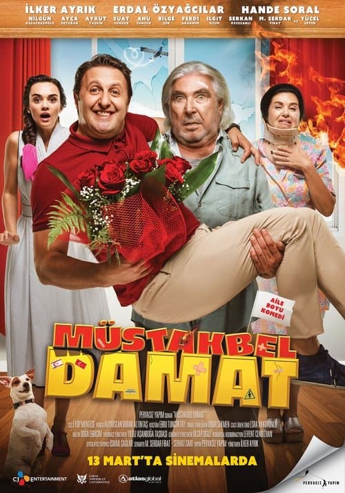 Müstakbel Damat afişi