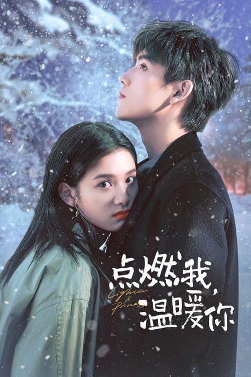 点燃我，温暖你 afişi
