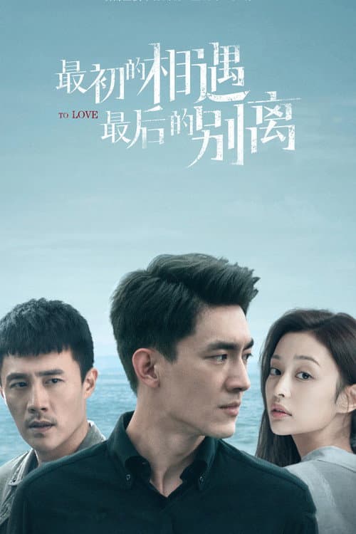 最初的相遇，最后的别离 afişi