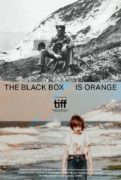 The Black Box is Orange afişi