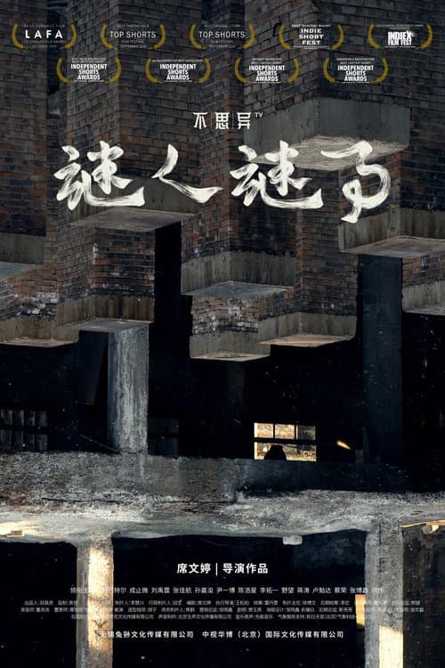不思异：谜人谜事 afişi