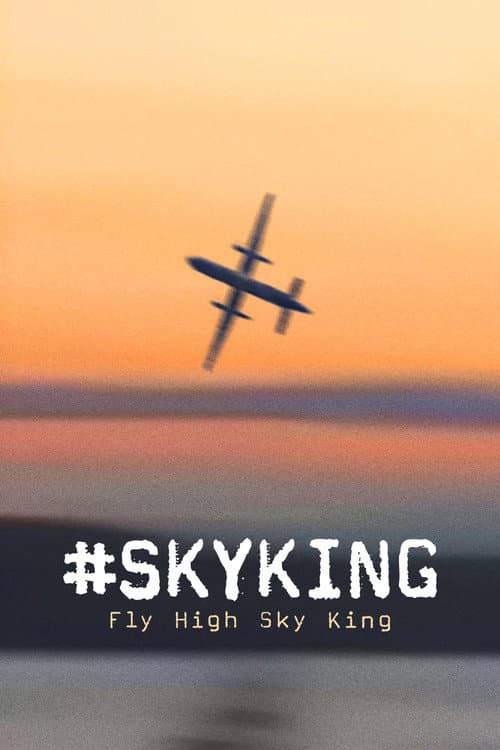 #SKYKING afişi