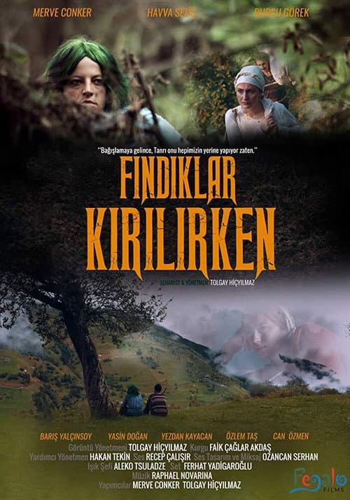 Fındıklar Kırılırken afişi