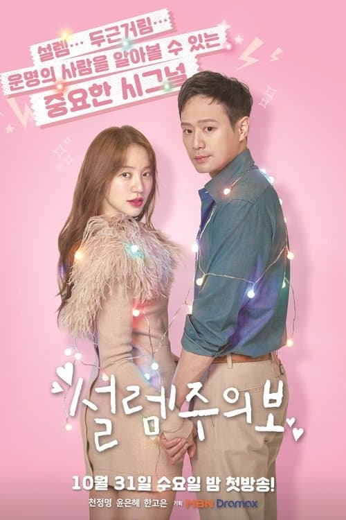 설렘주의보 afişi