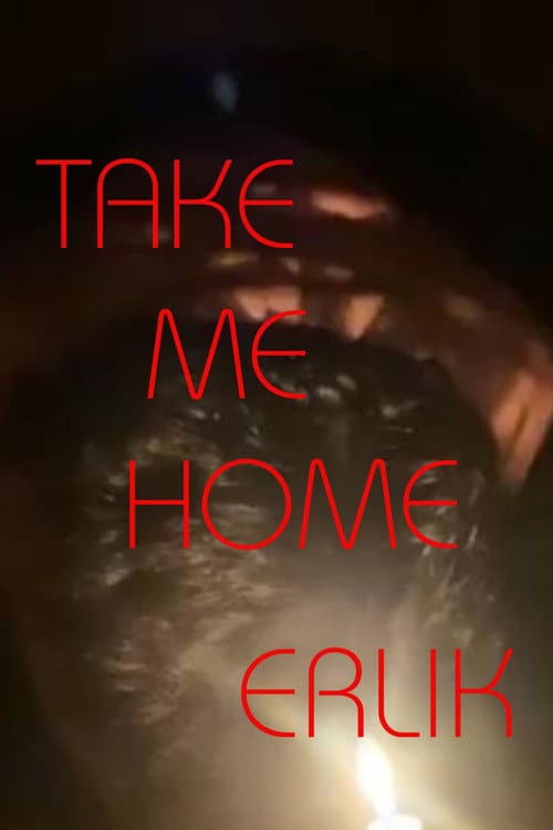Take Me Home, Erlik afişi