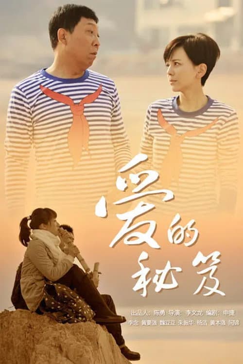爱的秘笈 afişi