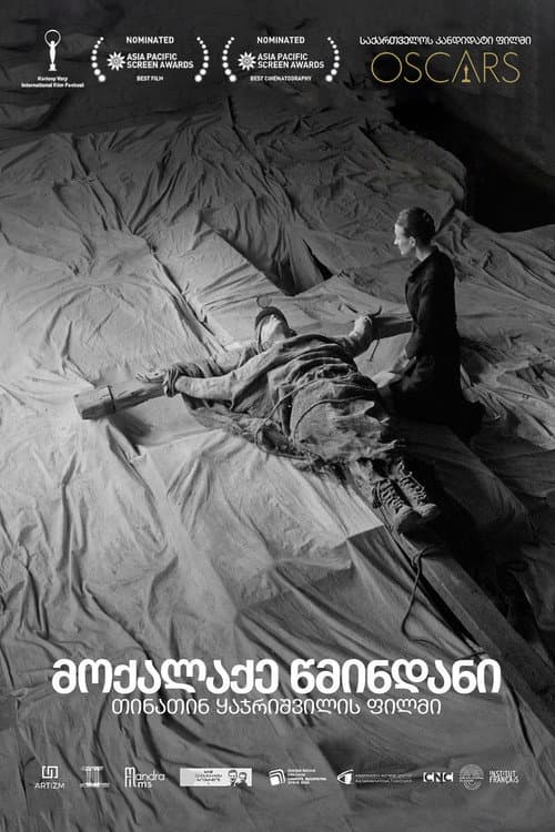 მოქალაქე წმინდანი afişi