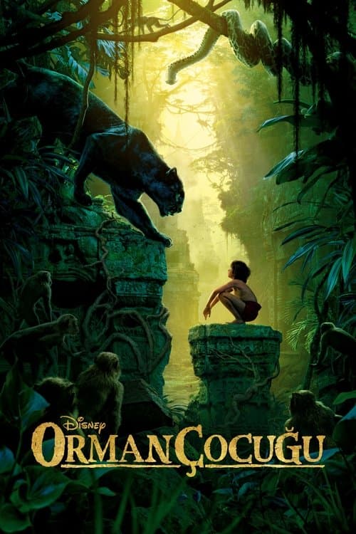 Orman Çocuğu afişi