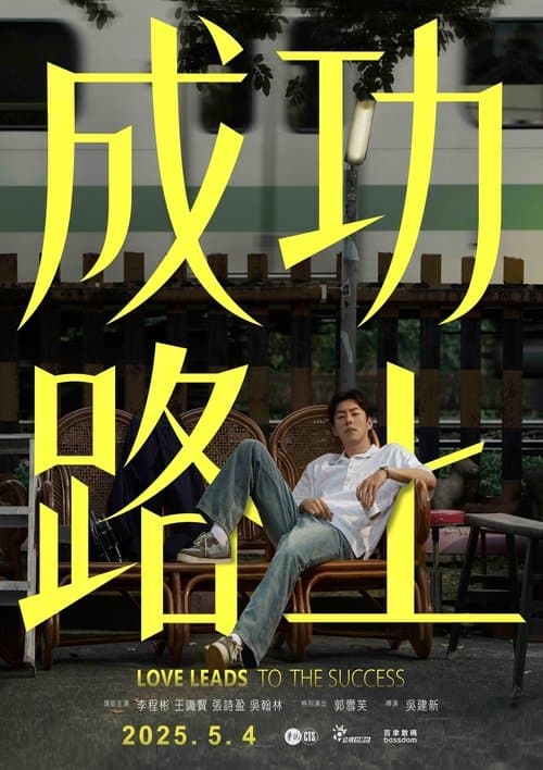 成功路上 afişi