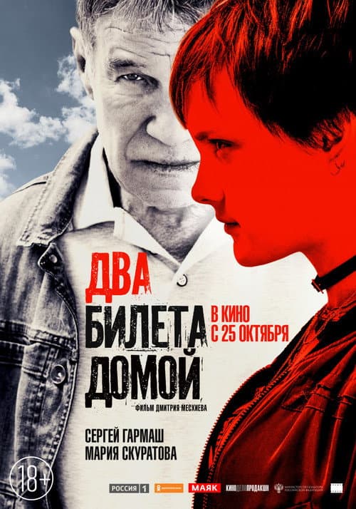Два билета домой afişi
