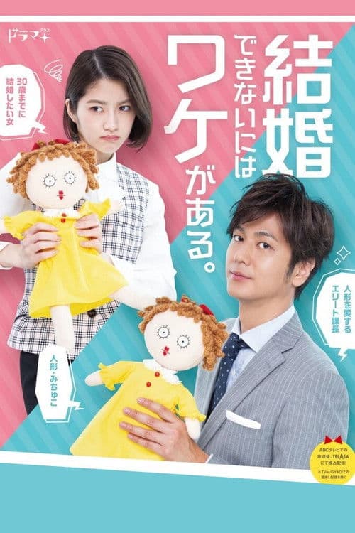 結婚できないにはワケがある。 afişi