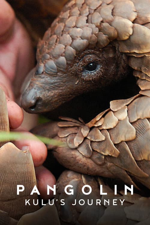 Pangolin: Kulu'nun Yolculuğu afişi