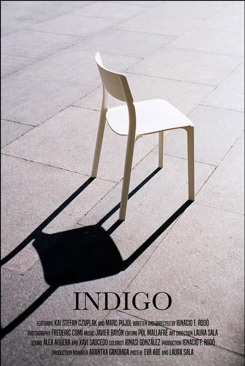 Indigo afişi
