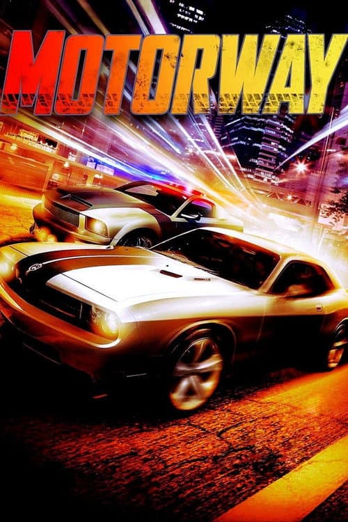 車手 afişi