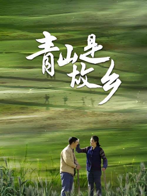 青山是故乡 afişi