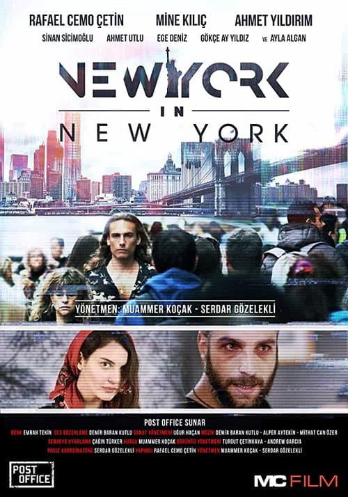 New York in New York afişi
