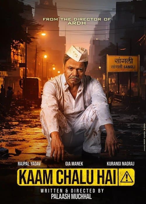 Kaam Chalu Hai afişi