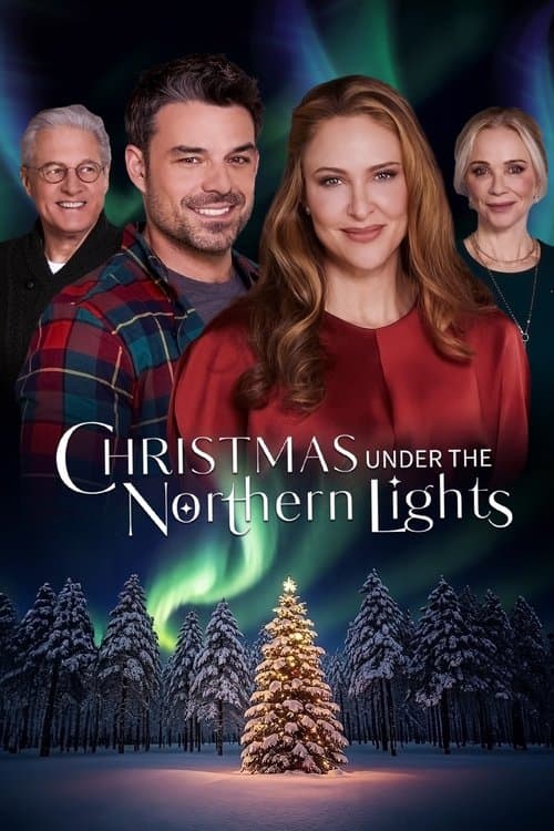 Christmas Under the Northern Lights afişi
