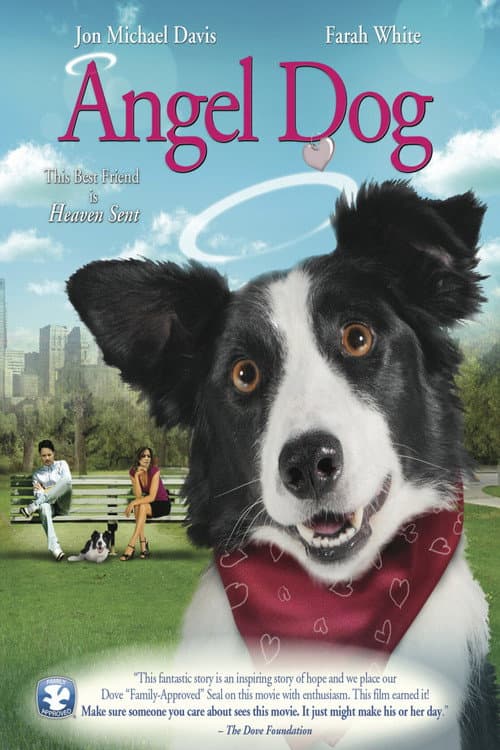 Melek Köpek afişi