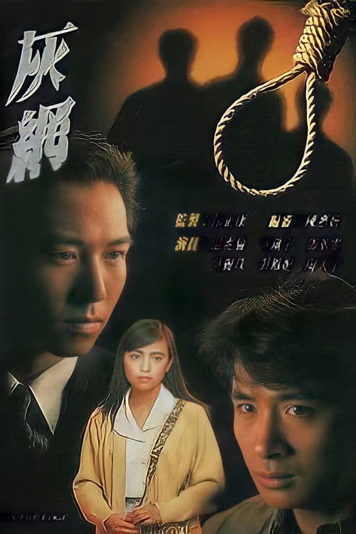 灰網 afişi