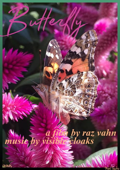 Butterfly afişi