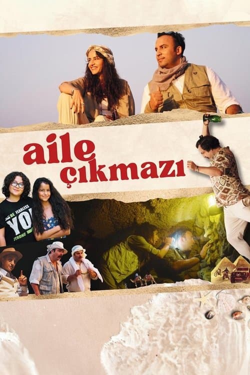 Aile Çıkmazı afişi