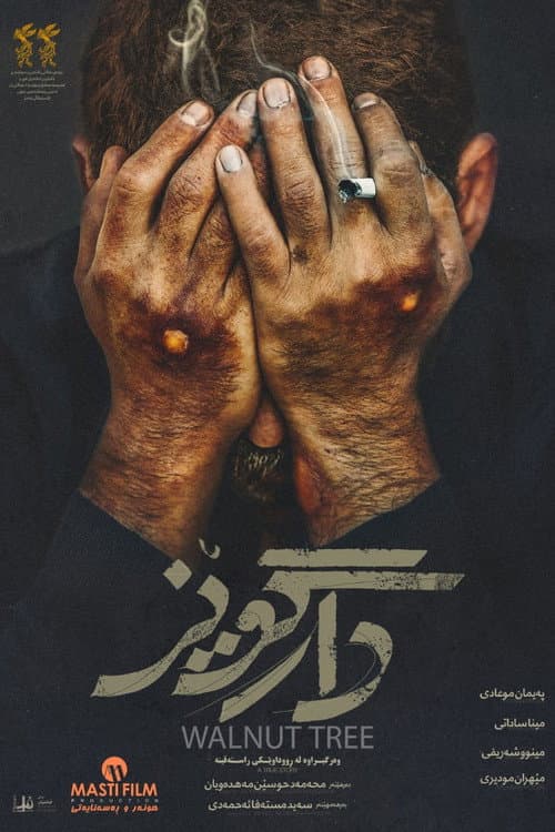 درخت گردو afişi